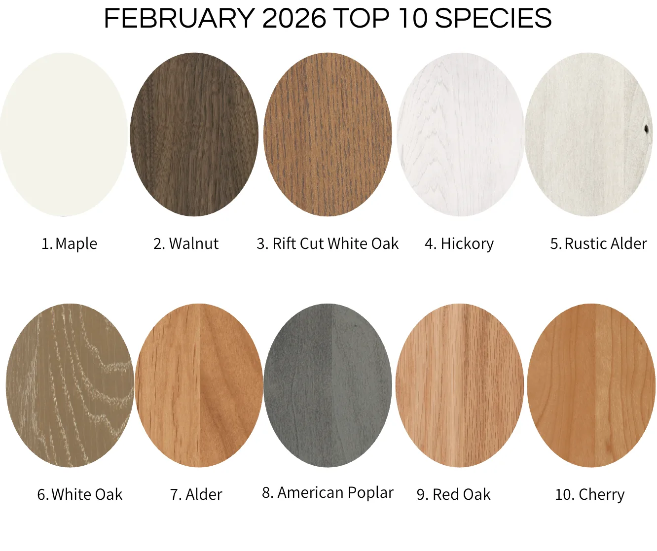 February 2026 top 10 species chart: 1 Maple, 2 Walnut, 3 Rift Cut White Oak, 4 Hickory, 5 Rustic Alder, 6 White Oak, 7 Alder, 8 American Poplar, 9 Red Oak, 10 Cherry