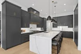Eclipse Cabinetry gray modern kitchen